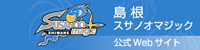 Ruby Association Gold Sponsor